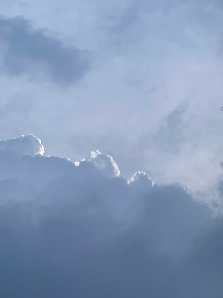 系統首次登入說明